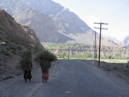 IMG 1275
Местные таджики собирают хворост в километре от своего кишлака. С дровами на Памире очень плохо - их там почти нету
Keywords: Памир