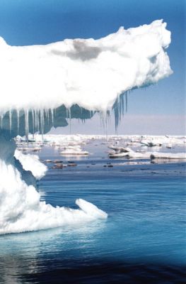 arktika led1
